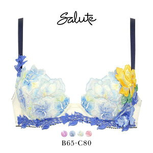 30��OFF �u���W���[ ���R�[�� Wacoal �T���[�g Salute 24SS 06G BTJ406 P-UP BC �v�b�V���A�b�v �J�� �P�i �V�[�Y�� ���f�B�[�X ����u�� �J�ԃu�� ���� �o�X�g�A�b�v �{�����[���A�b�v �A���_�[80 �ԕ� �h