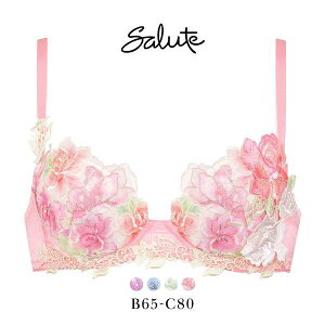 30��OFF ���R�[�� Wacoal �T���[�g Salute 24SS 06G BTJ406 P-UP �u���W���[ BC �v�b�V���A�b�v �J�� �P�i �V�[�Y�� ���f�B�[�X ����u�� �J�ԃu�� ���� �o�X�g�A�b�v �{�����[���A�b�v �A���_�[80 �ԕ� �h