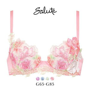 30��OFF ���R�[�� Wacoal �T���[�g Salute 24SS 06G BTJ406 P-UP �u���W���[ G �v�b�V���A�b�v �J�� �傫���T�C�Y �P�i �V�[�Y�� ���f�B�[�X ����u�� �J�ԃu�� ���� �o�X�g�A�b�v �{�����[���A�b�v �ԕ� 
