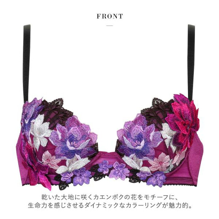 楽天市場】【20％OFF・4/28 09:59まで】ワコール Wacoal サルート 