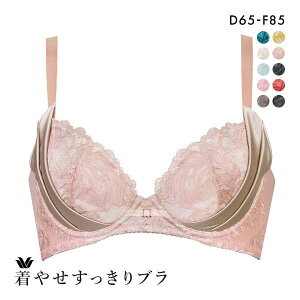 25��OFF ���R�[�� Wacoal ���₹��������u�� �v���~�A�� 12series BXD712 12G 3/4�J�b�v�u���W���[ DEF �e�� �e�� �P�i ���f�B�[�X �S10�F D65-F85