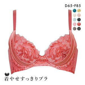 25��OFF ���R�[�� Wacoal ���₹��������u�� �v���~�A�� 12series BXD712 12G 3/4�J�b�v�u���W���[ DEF �e�� �e�� �P�i ���f�B�[�X �S10�F D65-F85