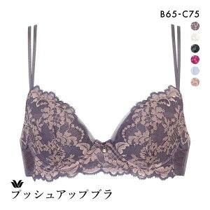 15��OFF ���R�[�� �v�b�V���A�b�v�u�� �v���~�A�� 13series BXD413 13G �u���W���[ BC Wacoal ���f�B�[�X �S6�F B65-C75