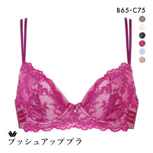 �y20%OFF�E01/16 09:59�܂Łz ���R�[�� �v�b�V���A�b�v�u�� �v���~�A�� 13series BXD413 13G �u���W���[ BC Wacoal ���f�B�[�X �S6�F B65-C75 ev_sp_20