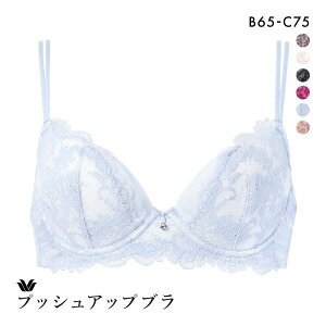 20��OFF ���R�[�� �v�b�V���A�b�v�u�� �v���~�A�� 13series BXD413 13G �u���W���[ BC Wacoal ���f�B�[�X ���� �S6�F B65-C75