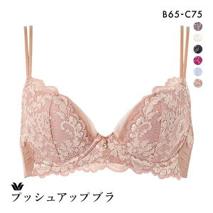 �撅1,000�~OFF�N�[�|���E�Ȃ��Ȃ莟��I�� 15��OFF ���R�[�� �v�b�V���A�b�v�u�� �v���~�A�� 13series BXD413 13G �u���W���[ BC Wacoal ���f�B�[�X ���� �S6�F B65-C75
