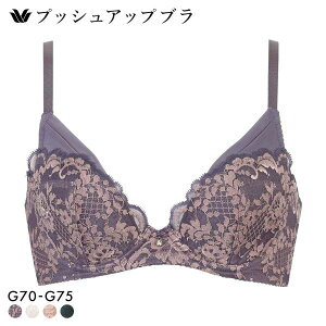 15��OFF �u���W���[ ���R�[�� �v�b�V���A�b�v�u�� �v�����W���O�^�C�v �v���~�A�� 13series BXD713 13G G Wacoal �傫���T�C�Y ���f�B�[�X ���� �S4�F G70-G75 ���C���[�u�� ���C���[����