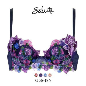 30��OFF ���R�[�� �T���[�g 60�O���[�v 60G P-UP �u���W���[ �v�b�V���A�b�v GHI �J�� �傫���T�C�Y Wacoal Salute BTJ460 24AW�V�[�Y�� ���f�B�[�X ���� �S4�F G65-I85