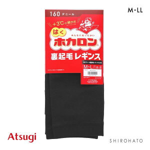 �y���[����(30)�z �A�c�M �͂��z�J���� ���N�у��M���X 10���� 160�f�j�[�� ATSUGI ���f�B�[�X M-L-L-LL