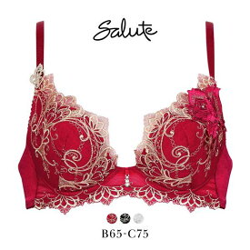 25％OFF ワコール サルート 70グループ 70G VIVA LINE ブラジャー BC ビバライン 谷間 Wacoal Salute BTJ470 24AWブルーム レディース 全3色 B65-C75