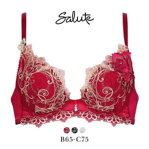 30��OFF ���R�[�� �T���[�g 70�O���[�v 70G VIVA LINE �u���W���[ BC �r�o���C�� �J�� Wacoal Salute BTJ470 24AW�u���[�� ���f�B�[�X ���� �S3�F B65-C75