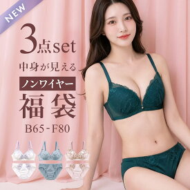 20％OFF ノンワイヤー ブラジャー ショーツ 3点セット 福袋 選べる6タイプ 中身が見える おまかせ 大きいサイズ 下着 レディース 刺繍レース＆ワントーンレース ブラセット ブラショーツ 上下セット 送料無料 Eカップ Fカップ アンダー80 全6色 B65-F80