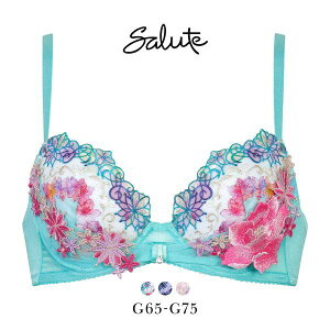 30��OFF ���R�[�� �T���[�g 50�O���[�v 50G ���{���u�� �u���W���[ G �J�ԃL�[�v Wacoal Salute BTJ750 25SS��s�R�A ���f�B�[�X ���� �S3�F G65-G75
