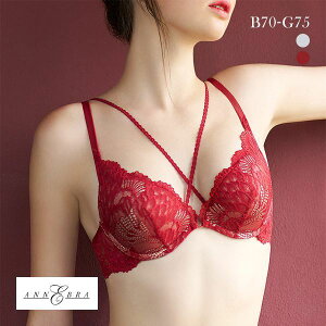 �A���u�� Amour ���[�X���[���h�J�b�v �u���W���[ ANNEBRA ���f�B�[�X ���� �S2�F B70-G75