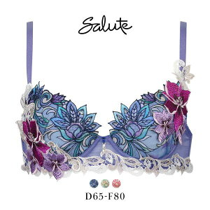 30��OFF ���R�[�� �T���[�g 80�O���[�v 80G P-UP �u���W���[ DEF �v�b�V���A�b�v Wacoal Salute BTJ480 25SS��s�v���X�e�[�W ���f�B�[�X ���� �S3�F D65-F80