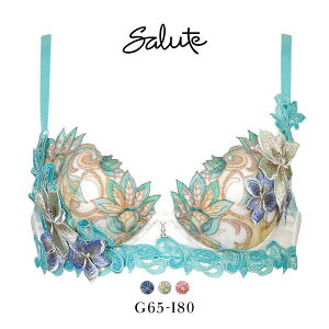 25OFF R[ T[g 80O[v 80G P-UP uW[ GHI vbVAbv Wacoal Salute BTJ480 25SSsvXe[W fB[X S3F G65-I80