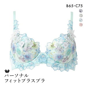 25��OFF ���R�[�� �p�[�\�i���t�B�b�g�v���X�u�� �v���~�A�� 17series BXD417 17G 3/4�J�b�v�u���W���[ BC Wacoal ���f�B�[�X �S4�F B65-C75