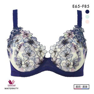 15OFF R[ }^jeB LCɂ݂Ă₳u YOEY㌓p ȒP^Cv EF Wacoal MATERNITY 傫TCY fB[X S3F E65-F85