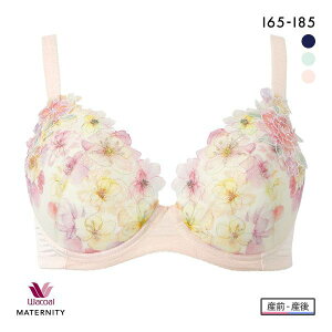 15OFF R[ }^jeB LCɂ݂Ă₳u YOEY㌓p zbNt^Cv I Wacoal MATERNITY 傫TCY fB[X S3F I65-I85