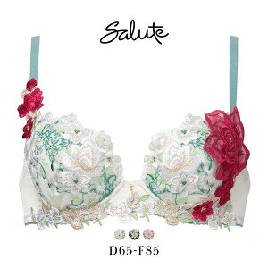 30��OFF ���R�[�� �T���[�g 16�O���[�v 16G P-UP �u���W���[ �v�b�V���A�b�v DEF �J�� �傫���T�C�Y Wacoal Salute BTJ416 25SS�V�[�Y�� ���f�B�[�X ���� �S3�F D65-F85