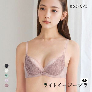 15��OFF ���R�[�� ���C�g�C�[�W�[�u�� �v���~�A�� 18series BXD418 18G 3/4�J�b�v�u���W���[ BC Wacoal ���f�B�[�X �S5�F B65-C75