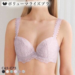 20��OFF ���R�[�� �{�����[�}���C�Y�u�� �v���~�A�� 18series BXD718 18G �u���W���[ C Wacoal ���f�B�[�X ���� �S6�F C65-C75