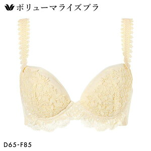 15��OFF �u���W���[ ���R�[�� �{�����[�}���C�Y�u�� �v���~�A�� 18series BXD718 18G DEF �傫���T�C�Y Wacoal ���f�B�[�X ���� �S7�F D65-F85 ���C���[�u�� ���C���[����