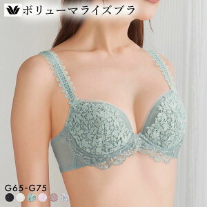 �撅1,000�~OFF�N�[�|���E�Ȃ��Ȃ莟��I�� 15��OFF ���R�[�� �{�����[�}���C�Y�u�� �v���~�A�� 18series BXD718 18G �u���W���[ G �傫���T�C�Y Wacoal ���f�B�[�X ���� �S6�F G65-G75