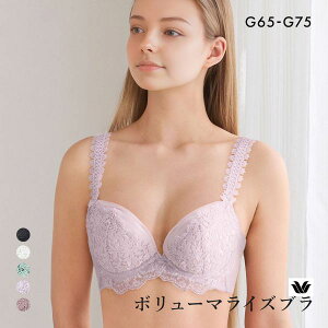 15��OFF ���R�[�� �{�����[�}���C�Y�u�� �v���~�A�� 18series BXD718 18G �u���W���[ G �傫���T�C�Y Wacoal ���f�B�[�X �S5�F G65-G75