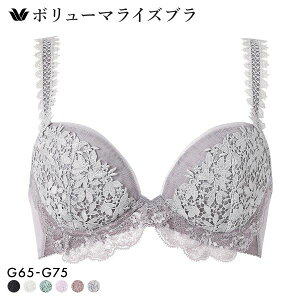 15��OFF �u���W���[ ���R�[�� �{�����[�}���C�Y�u�� �v���~�A�� 18series BXD718 18G G �傫���T�C�Y Wacoal ���f�B�[�X ���� �S6�F G65-G75 ���C���[�u�� ���C���[����
