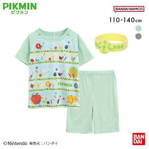 25OFF sN~ ECłI 锼pW} ㉺Zbg WjA LbY ECOt 110 120 130 140 PIKMIN S2F 110-140