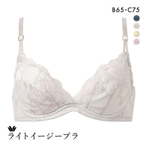 �撅1,000�~OFF�N�[�|���E�Ȃ��Ȃ莟��I�� 15��OFF ���R�[�� ���C�g�C�[�W�[�u�� �v���~�A�� 21series BXD421 21G 3/4�J�b�v�u���W���[ BC Wacoal ���f�B�[�X ���� �S4�F B65-C75
