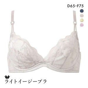 �撅1,000�~OFF�N�[�|���E�Ȃ��Ȃ莟��I�� 15��OFF ���R�[�� ���C�g�C�[�W�[�u�� �v���~�A�� 21series BXD421 21G 3/4�J�b�v�u���W���[ EDF �傫���T�C�Y Wacoal ���f�B�[�X ���� �S4�F D65-F75