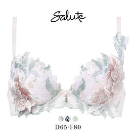 20％OFF ワコール サルート 22グループ 22G P-UP ブラジャー DEF プッシュアップ 谷間 Wacoal Salute BTJ422 25AW先行プレステージ レディース 全3色 D65-F80