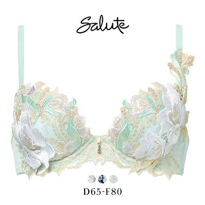 20��OFF ���R�[�� �T���[�g 22�O���[�v 22G P-UP �u���W���[ DEF �v�b�V���A�b�v �J�� Wacoal Salute BTJ422 25AW��s�v���X�e�[�W ���f�B�[�X ���� �S3�F D65-F80