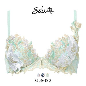 20��OFF ���R�[�� �T���[�g 22�O���[�v 22G P-UP �u���W���[ GHI �v�b�V���A�b�v �J�� Wacoal Salute BTJ422 25AW��s�v���X�e�[�W ���f�B�[�X ���� �S3�F G65-I80