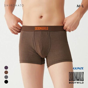 �y�ő�1,000�~�N�[�|���E�Ȃ��Ȃ莟��I���z 20��OFF�y���[����(20)�z �O���[ BODY WILD by BEAMS DESIGN �{�N�T�[�p���c �����Y �r�[���X GUNZE �{�f�B���C���h �S4�F M-L ���̓� �M�t�g �v���[���g