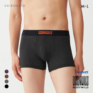 20OFFy[(20)z O[ BODY WILD by BEAMS DESIGN {NT[pc Y r[X GUNZE {fBCh S4F M-L