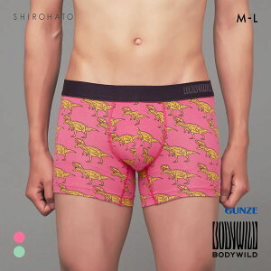 20OFFy[(20)z O[ BODY WILD T.Rex {NT[pc O Y ȍ GUNZE {fBCh S2F M-L