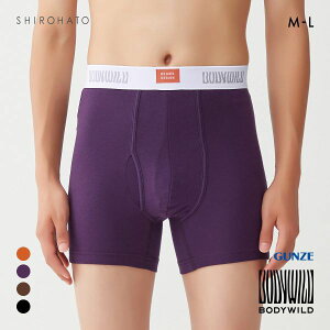 20OFFy[(20)z O[ BODY WILD by BEAMS DESIGN I[KjbNRbg {NT[pc Y r[X GUNZE {fBCh S4F M-L