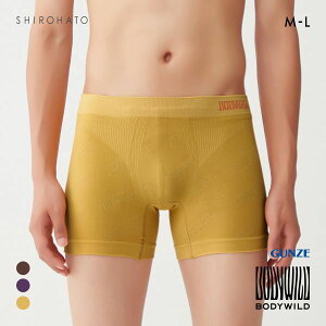 20OFFy[(20)z O[ BODY WILD by BEAMS DESIGN Z~O {NT[pc Y ^ r[X GUNZE {fBCh S3F M-L