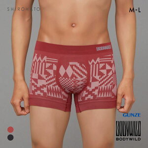 20OFFy[(20)z O[ BODY WILD WIgbN ̐^ {NT[pc O Y GUNZE {fBCh S2F M-L