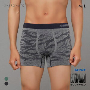 20OFFy[(20)z O[ BODY WILD [u ̐^ {NT[pc O Y GUNZE {fBCh S2F M-L