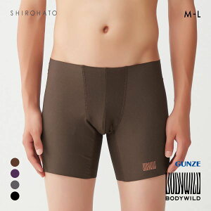 20OFFy[(20)z O[ BODY WILD by BEAMS DESIGN GA[Y O^Cv {NT[pc AIRZ Y r[X GUNZE {fBCh S4F M-L