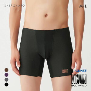 20OFFy[(20)z O[ BODY WILD by BEAMS DESIGN GA[Y O^Cv {NT[pc AIRZ Y r[X GUNZE {fBCh S4F M-L