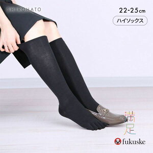 y[(20)z   炭炭 5{w nC\bNX fB[X C fukuske