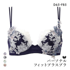 15��OFF ���R�[�� �p�[�\�i���t�B�b�g�v���X�u�� �v���~�A�� 22series BXD422 22G 3/4�J�b�v�u���W���[ DEF Wacoal �傫���T�C�Y ���f�B�[�X �S4�F D65-F85