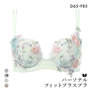 15��OFF ���R�[�� �p�[�\�i���t�B�b�g�v���X�u�� �v���~�A�� 22series BXD422 22G 3/4�J�b�v�u���W���[ DEF Wacoal �傫���T�C�Y ���f�B�[�X ���� �S4�F D65-F85