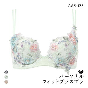 20��OFF ���R�[�� �p�[�\�i���t�B�b�g�v���X�u�� �v���~�A�� 22series BXD422 22G 3/4�J�b�v�u���W���[ GHI Wacoal �傫���T�C�Y ���f�B�[�X ���� �S3�F G65-I75