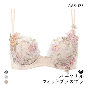 15��OFF ���R�[�� �p�[�\�i���t�B�b�g�v���X�u�� �v���~�A�� 22series BXD422 22G 3/4�J�b�v�u���W���[ GHI Wacoal �傫���T�C�Y ���f�B�[�X �S3�F G65-I75